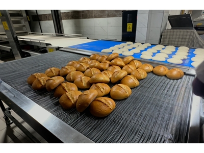 Four tubulaire en pierre avec robot pour 1170 pièces/heure - 7