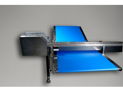 10 Pieces/Minute Servo Controlled Horizontal Conveyor Packaging Machine - 6