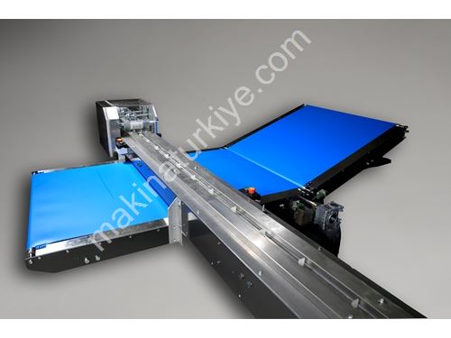 10 Pieces/Minute Servo Controlled Horizontal Conveyor Packaging Machine