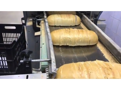 Sliced Bread Conveyor Packaging Machine - 0