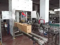 4-10 Pieces/Minute Box Packing Machine İlanı