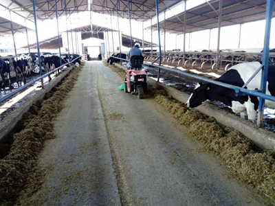 10 Hp 4 Zamanlı Kürek Fırçalı Yem Yanaştırma Makinası - 3