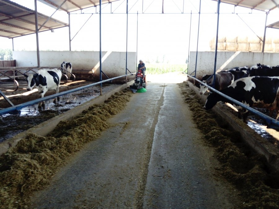 10 Hp 4 Zamanlı Kürek Fırçalı Yem Yanaştırma Makinası