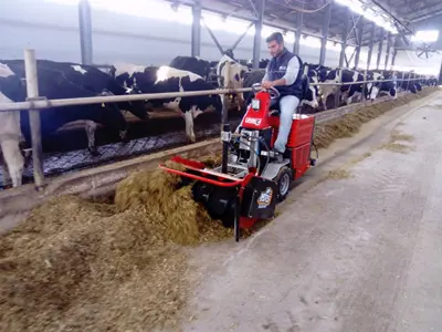 10 Hp 4 Zamanlı Burgu Beslemeli Yerleştirme Makinesi