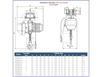 3 Ton 4 Haraketli Monoray Zincirli Vinç - 1