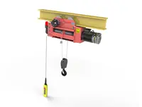 5 Ton 4 Haraketli Monoray Halatlı Vinç