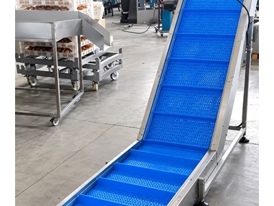 Inclined Food Conveyor