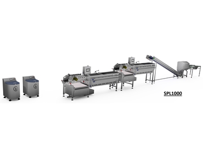 Salad Processing Line - SPL - 1