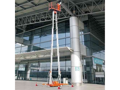 14 Metre (200 Kg) Çift Direk Personel Yükseltici Platform - 2
