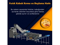 500-1500 Kg / Saat Yerfıstığı Kırma Ayrıştırma Ve Sınıflandırma Tesisi