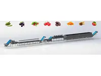 500-3000 Kg / Saat Sebze Meyve Ve Kuruyemiş İşleme Hattı