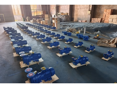 230 m³/h 5,5 kW Su Halkalı Monoblok Vakum Pompası - 8