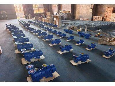230 m³/h 5,5 kW Su Halkalı Monoblok Vakum Pompası - 9