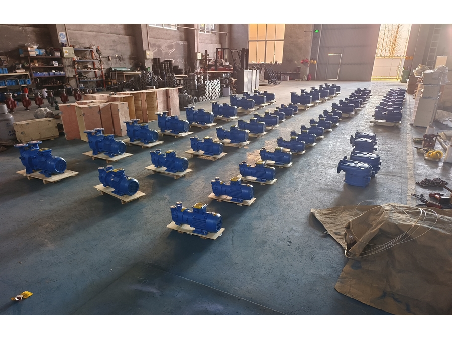 230 m³/h 5,5 kW Su Halkalı Monoblok Vakum Pompası