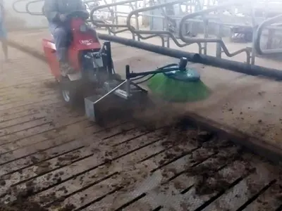 Driver Animal Bedding Ground Sweeper