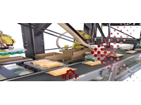 Konveyörlü Paketleme Makinası