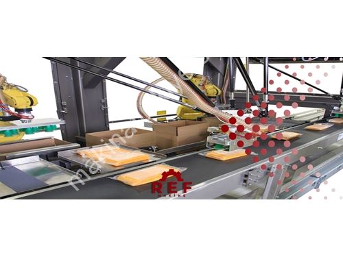 Conveyor Packaging Machine