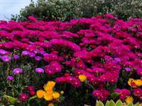 test222