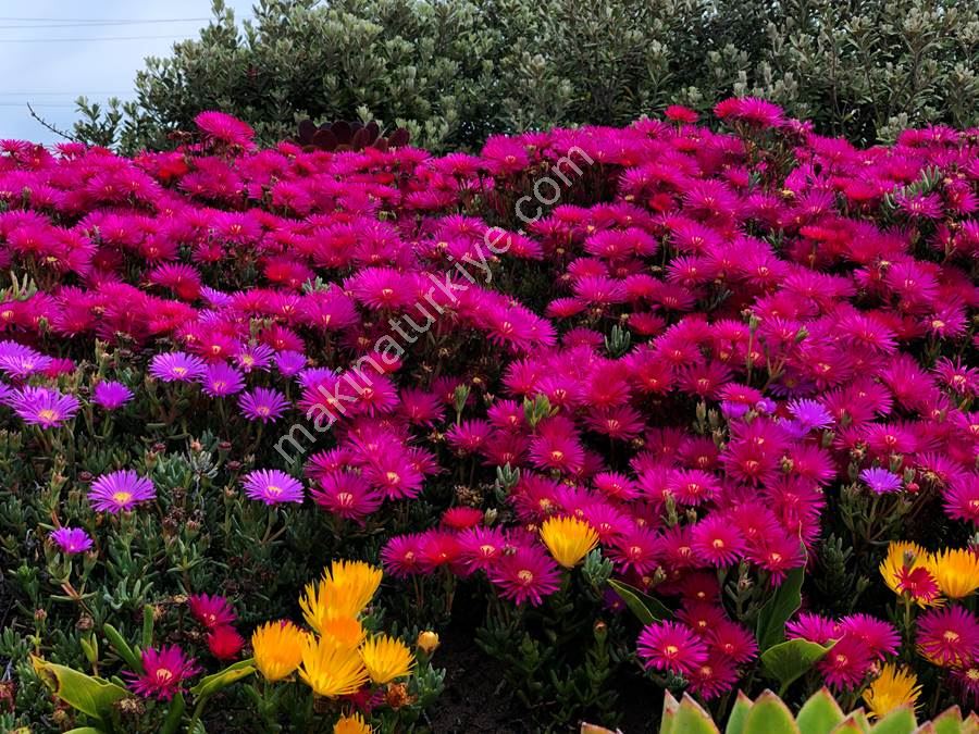test222