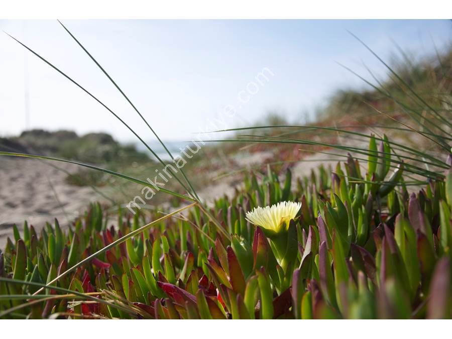 TEST 04.07.2025