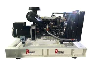 55 kVA Diesel Generator - 3