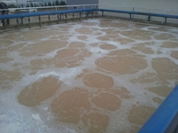 Industrielles Abwasserreinigungsanlage (2)