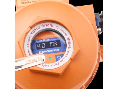 Detection of Toxic Gases and Safe Gas Detector with Oxygen Monitoring - 1