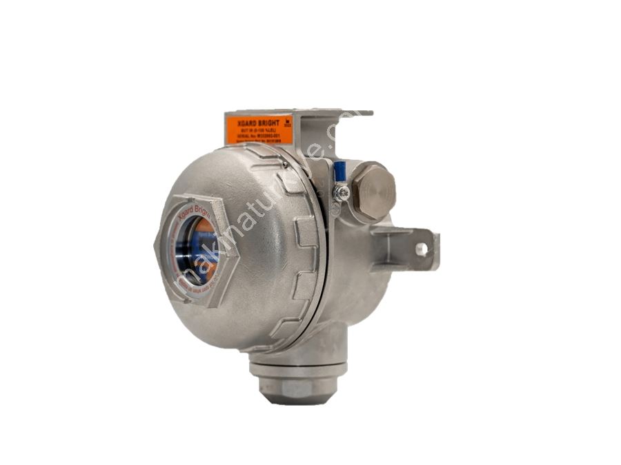 Detection of Toxic Gases and Safe Gas Detector with Oxygen Monitoring