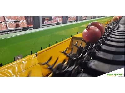 Granatapfel Sortiermaschine - 2