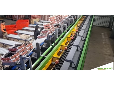 Granatapfel Sortiermaschine - 1