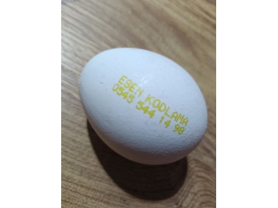 Yumurta Baskı İçin İnkjet Kodlama Makinası - 3