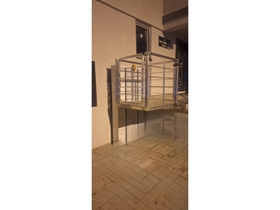 300 kg Aluminum Handicapped Load Lift - 3