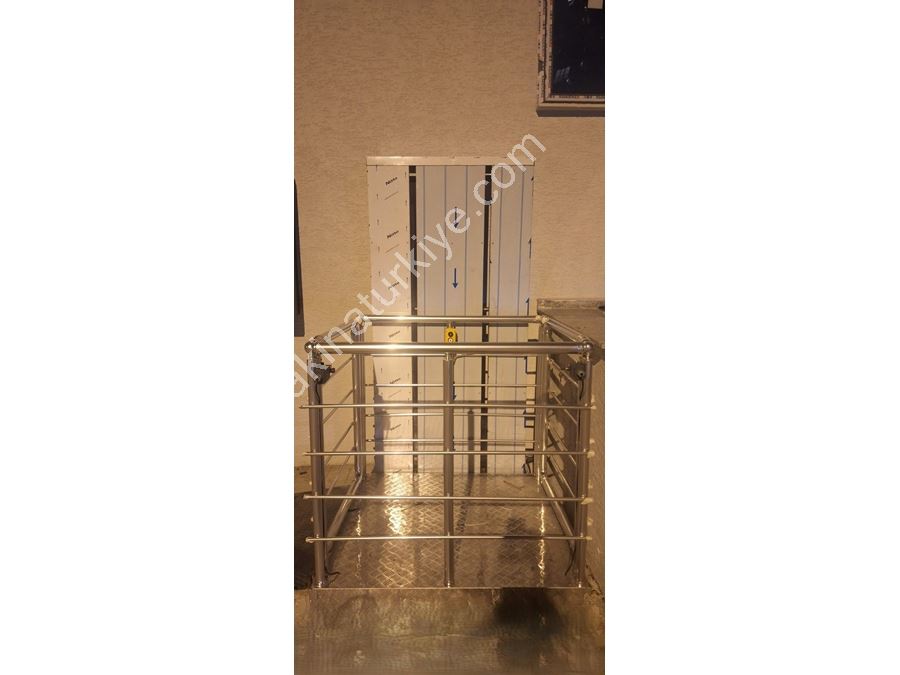 300 kg Aluminum Handicapped Load Lift