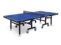 Specialist Masa Tenisi