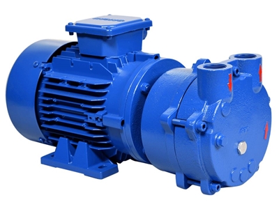 0,75 Kw Motor Gücü Monoblok Sulu Vakum Pompası - 0