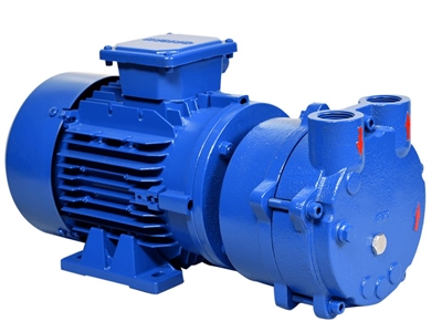 2,2 Kw Motor Gücü Monoblok Sulu Vakum Pompası - 2