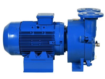 11 kw Motor Gücü Monoblok Vakum Pompası - 1