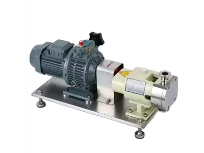 Candes Homogenizer Boiler Lobe Pump - 2