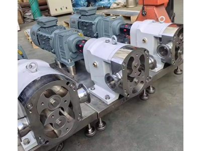 Candes Homogenizer Boiler Lobe Pump - 1