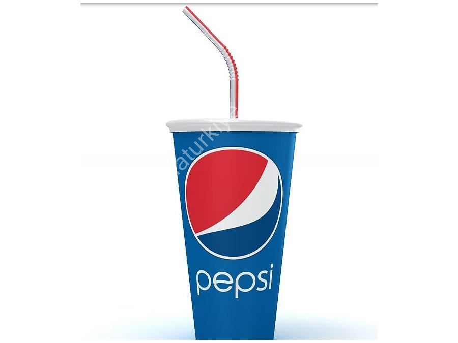 32 Oz Single Layer Cold Drink Paper Cup