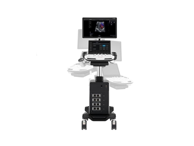 4D Renkli Doppler Ultrasonografi - 2