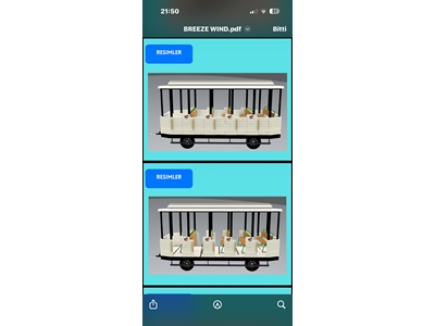 Gezi Treni Elektrikli - 6