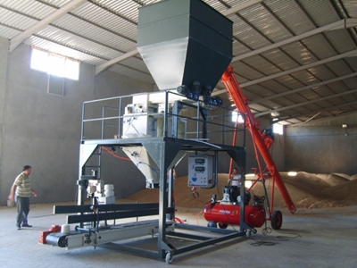 360 Packages Per Hour Double Brush Bag Filling Machine - 1