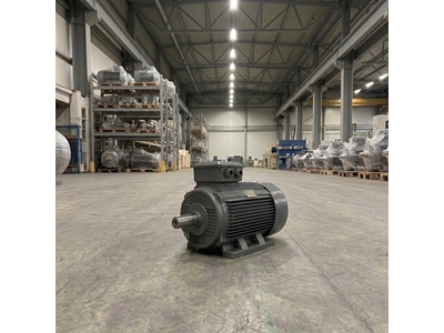 11 Kw 1500 d/d Ayaklı Elektrik Motoru - 0