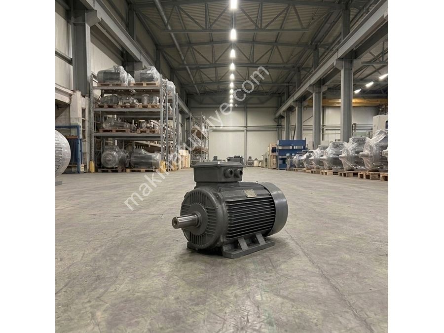 11 Kw 1500 d/d Ayaklı Elektrik Motoru