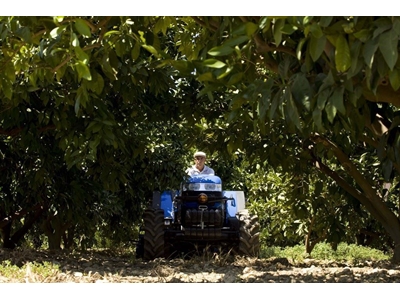 Bağ- Bahçe Traktörü / New Holland Td5040b Dt 360r24 Or5 - 0