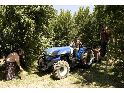 Bağ- Bahçe Traktörü / New Holland Td5040b Dt Sürüngen (20+12) 380r28 Or15 - 0