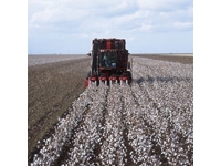 Cotton Harvester / Case Ih 420 Cotton Express - 1