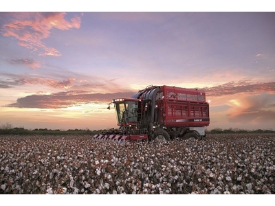 Pamuk Hasat Makinesi / Case Ih 620 Cotton Express - 1