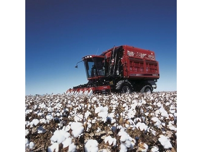 Pamuk Hasat Makinesi / Case Ih 620 Cotton Express - 2